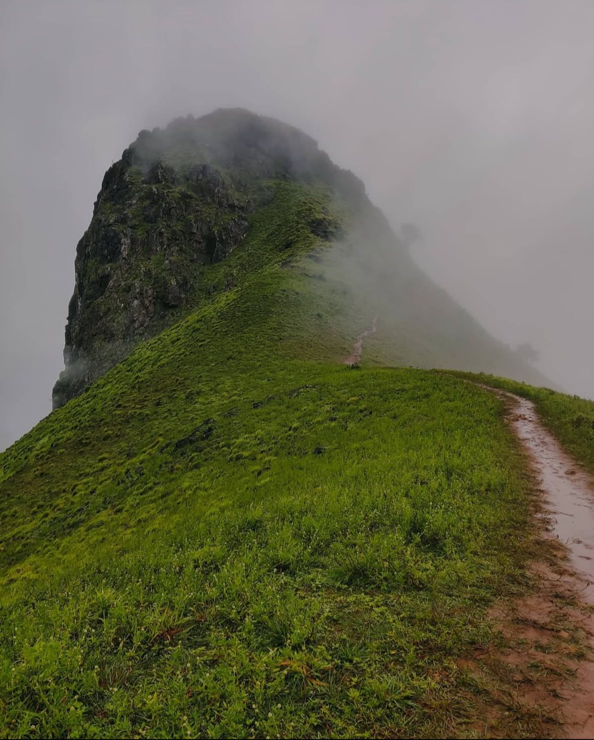 Etthina Bhuja Trek & Sightseeing — Sakleshpura, Belur & Yagachi Dam from Bangalore poster
