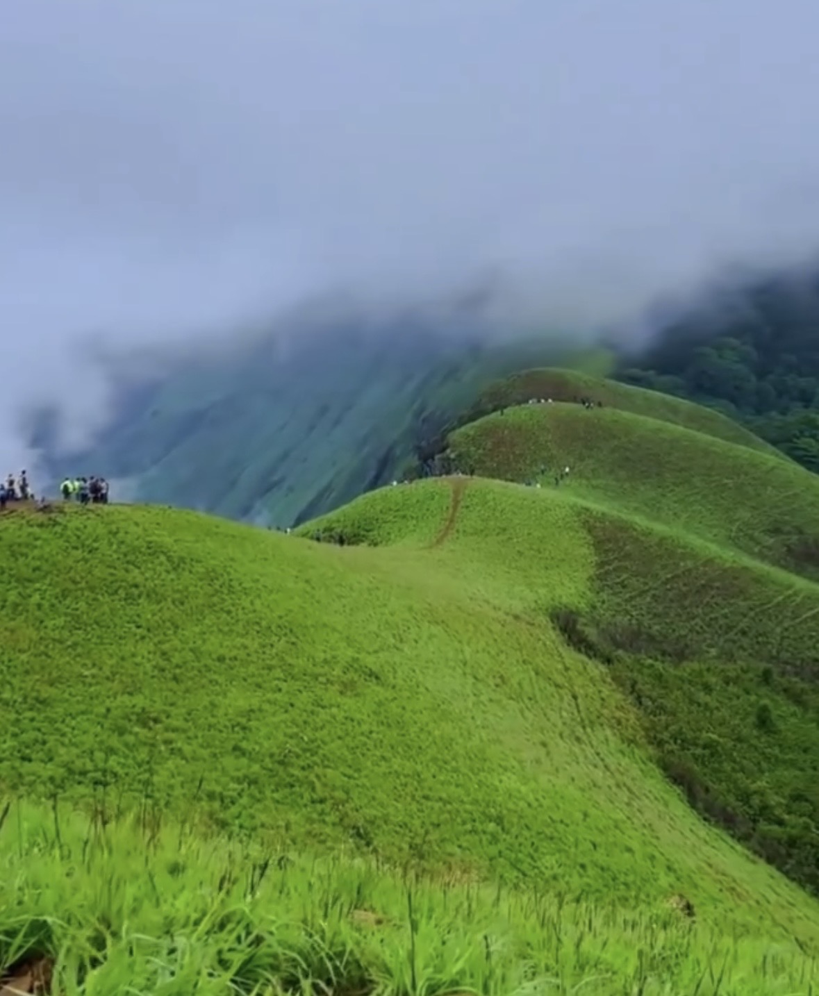 Netravathi Peak Trek & Sightseeing — Chikmagalur poster